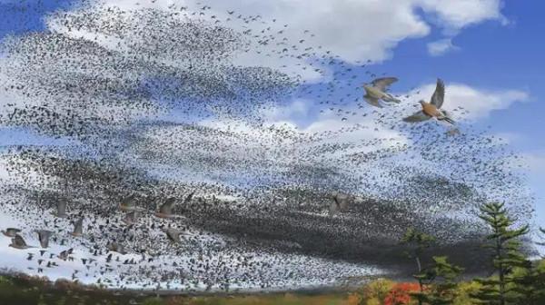 《動物世界千奇百怪》之一 《動物世界千奇百怪》之一