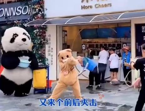 在江蘇蜜雪冰城有一隻國寶,他在網路上,太火了 在江蘇蜜雪冰城有一隻國寶,他在網路上,太火了