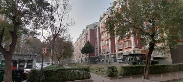 年末踩盤後記 年末踩盤後記