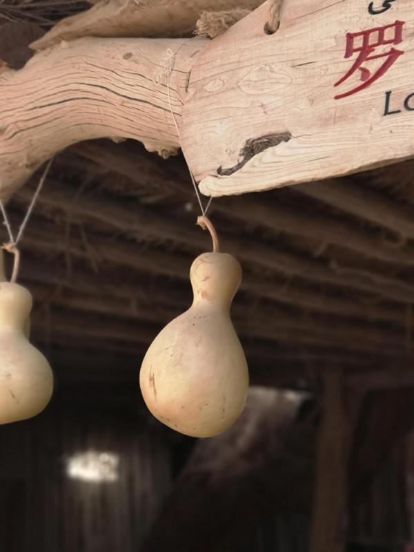 初冬的羅布人村寨