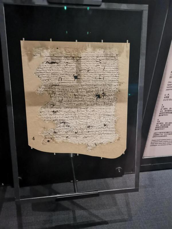 《遇見.古埃及》雖說是托勒密時期但也有3000多年，儲存得真不錯