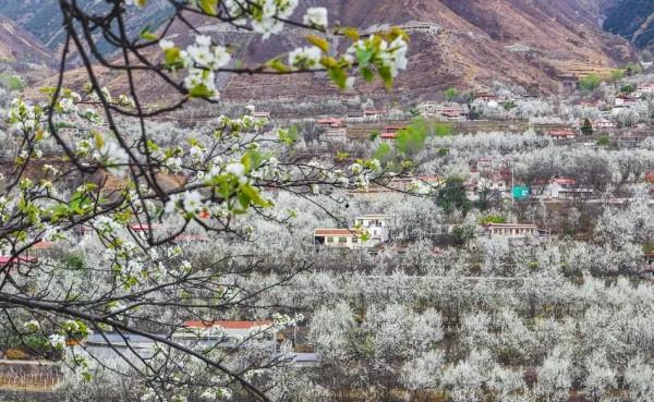 川西美景欣賞 川西美景欣賞