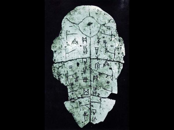 女子縱有千般毒，最毒莫如“爬龜婦”，為什麼這麼說