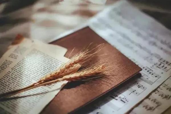 和什麼樣的人在一起,也是人生旅途的重要因素 和什麼樣的人在一起,也是人生旅途的重要因素