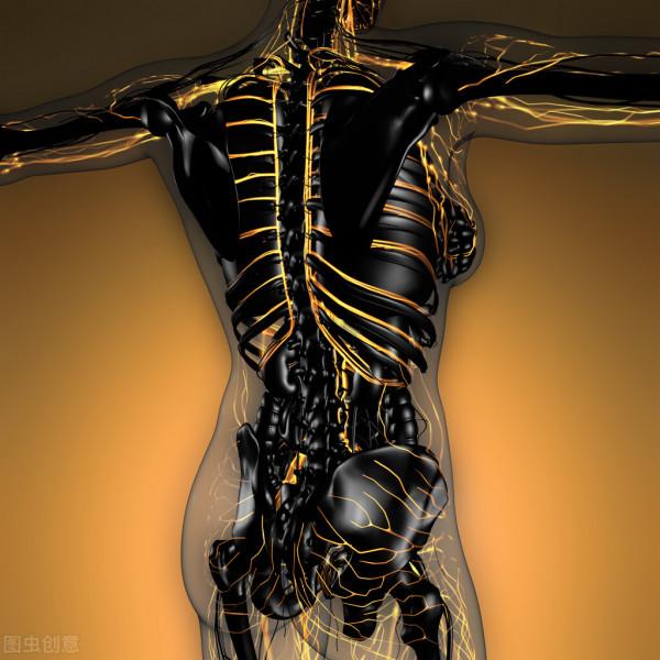 瘦身，保持良好身材就那麼簡單（五）認識