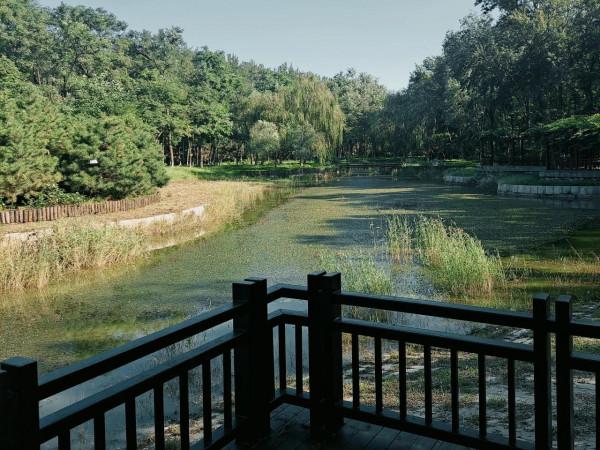 中秋向晚 行走北運河