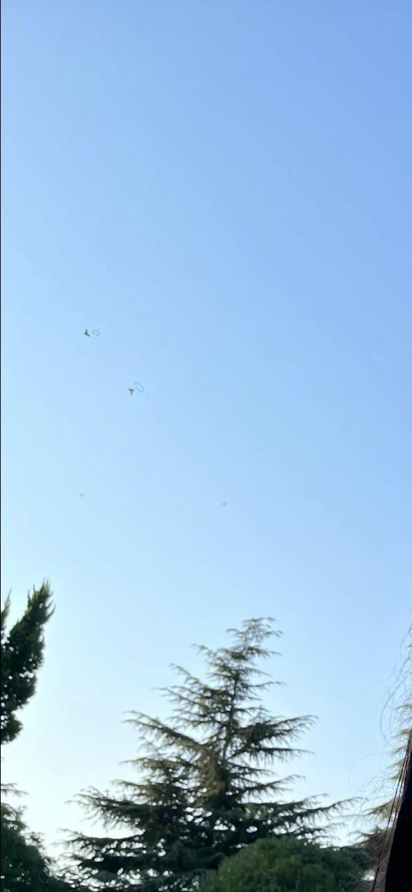 蘋果iPhone13半月使用細節體會