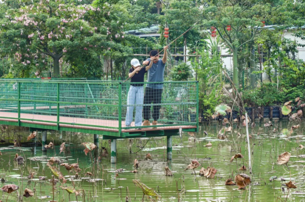 南海有家老字號農莊！人均40+嘆炭爐雞煲蟹、紅燜黑山羊