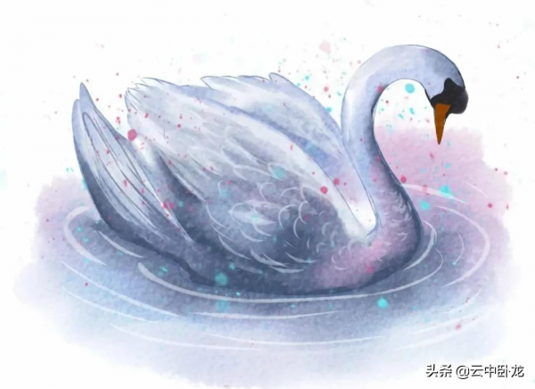 老韓講了一個故事：看天鵝