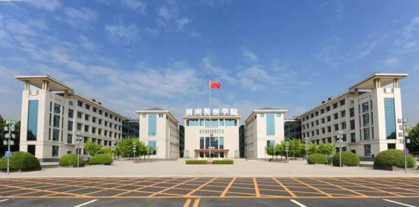 河南這所高校的秋:又美又颯 河南這所高校的秋:又美又颯