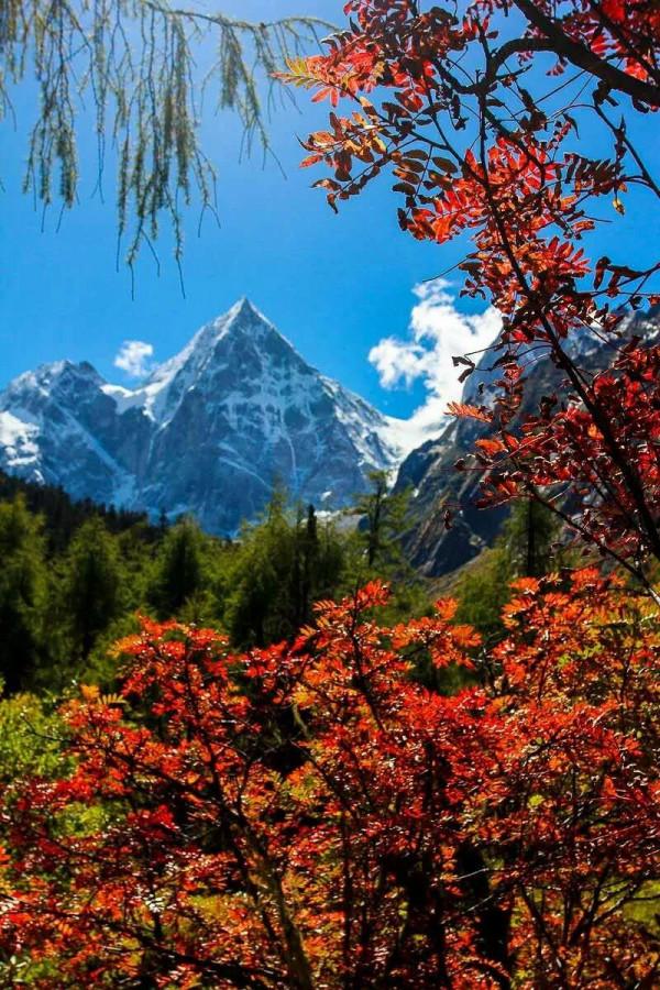 「畢棚溝」秋日秘境，品詩和遠方