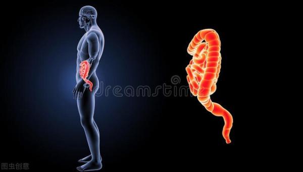 如何養成易瘦體質？5個方法提升代謝水平，減掉多餘的脂肪