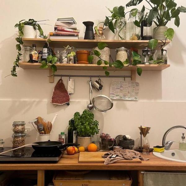 這位50歲阿姨，把3000株植物搬回家，讓家居生活，充滿寧靜的驚喜