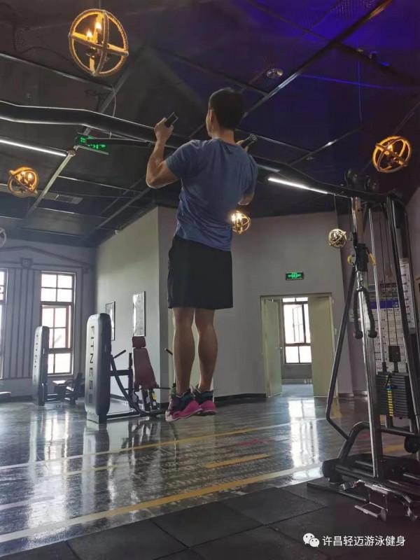 背部的訓練動作有哪些?該怎麼做 背部的訓練動作有哪些?該怎麼做