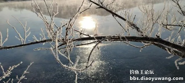 新年，首發冰釣