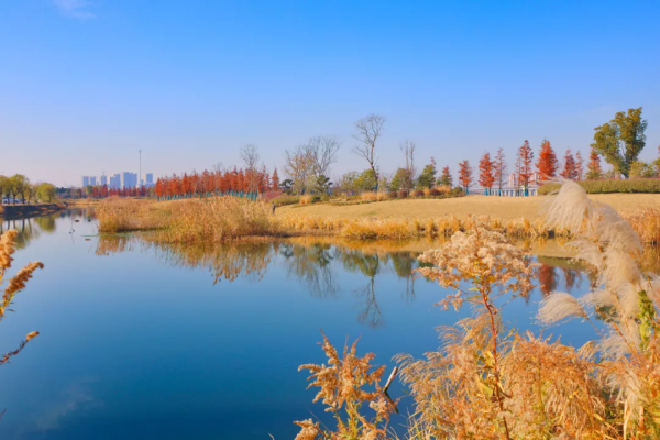 嗨，想和你一起看鹿城冬日限定美景