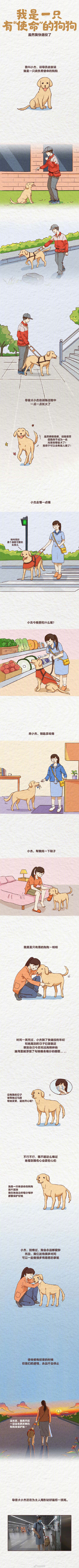 你知道你的寵物有多愛你嗎 你知道你的寵物有多愛你嗎