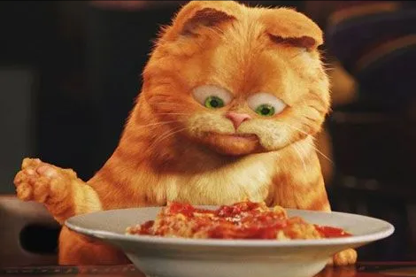 阿喵日記：謹以此文，紀念那些曾經與肥肉做抗爭的苦逼歲月