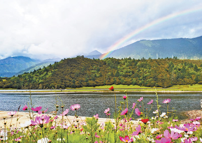 樹綠雲深處 田園滿花香 樹綠雲深處 田園滿花香