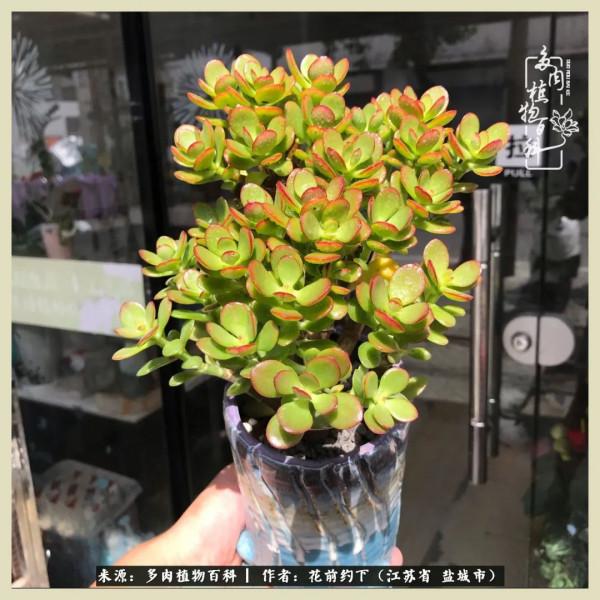 你儘管善良,福報都在路上 你儘管善良,福報都在路上