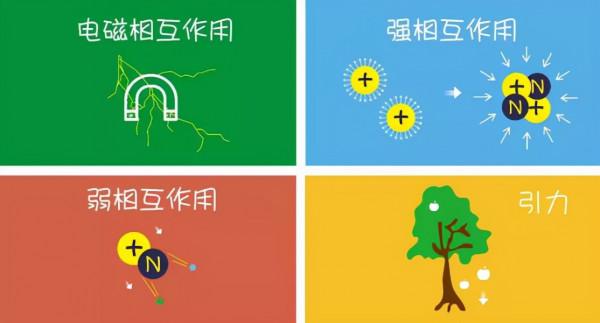 如果世上真的有神仙打架，我想一定是這場量子力學的巔峰之戰