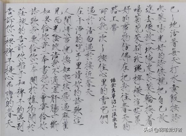 Evan Li點評餘秀華詩詞《我愛你》鋼筆字練字打卡作業欣賞