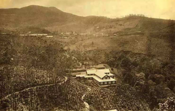 昔日印尼首富是廣東人，娶歐洲美女為妻，後代如今已無華人長相