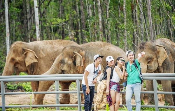 越南11月初開始試點國際遊客入境旅遊