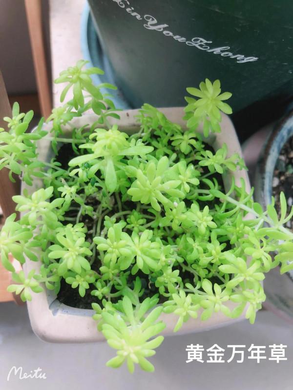 哈哈愛肉肉啊 哈哈愛肉肉啊