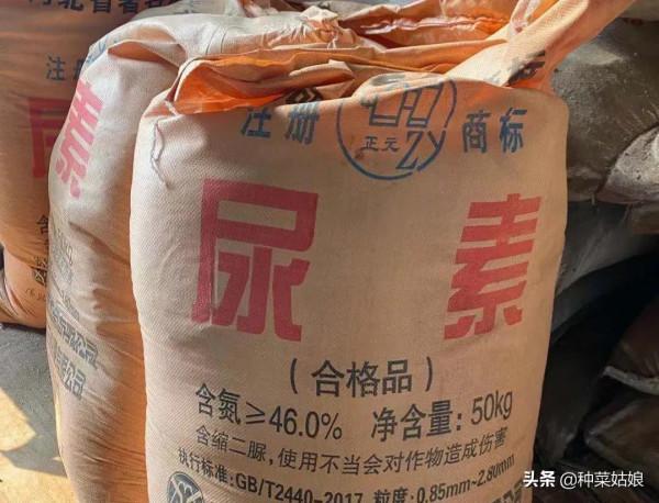 種菜到底能不能用尿素?掌握這些使用方法,肥效好,菜也好 種菜到底能不能用尿素?掌握這些使用方法,肥效好,菜也好