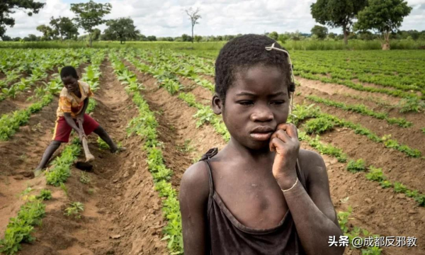 非洲菸農:被資本與菸葉綁架的一生 非洲菸農:被資本與菸葉綁架的一生