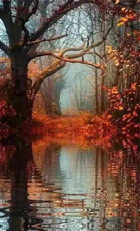 分享 世界之美 人間仙境 美呆啦