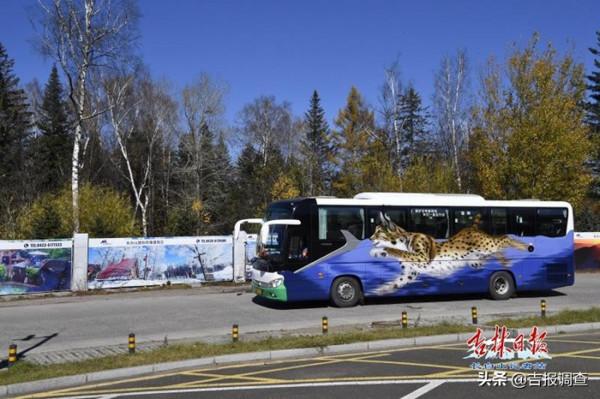 長白山北景區10輛野生動物塗鴉巴士正式上線運營,迅速成為遊客眼中一道靚麗風景 長白山北景區10輛野生動物塗鴉巴士正式上線運營,迅速成為遊客眼中一道靚麗風景