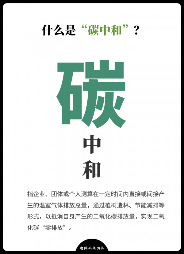 頻頻受到全球各大品牌青睞，生物基材料究竟有何來頭？