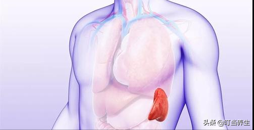 您的心臟怎麼樣？中醫陪你瞭解自己的心臟