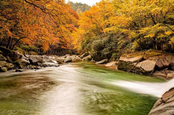 黑熊溝——四川光霧山