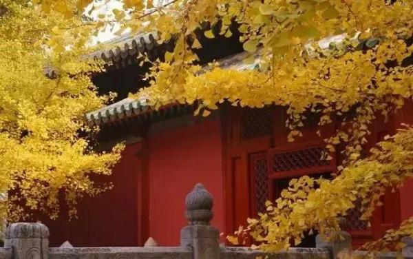 賞秋時節 | 打卡京郊這10條鄉村公路，藏著北京最美的秋天