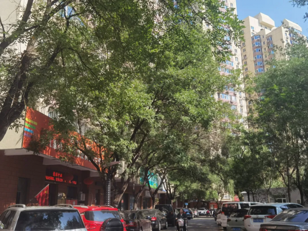 ​曾經的“富人區”,如今已泯然眾人