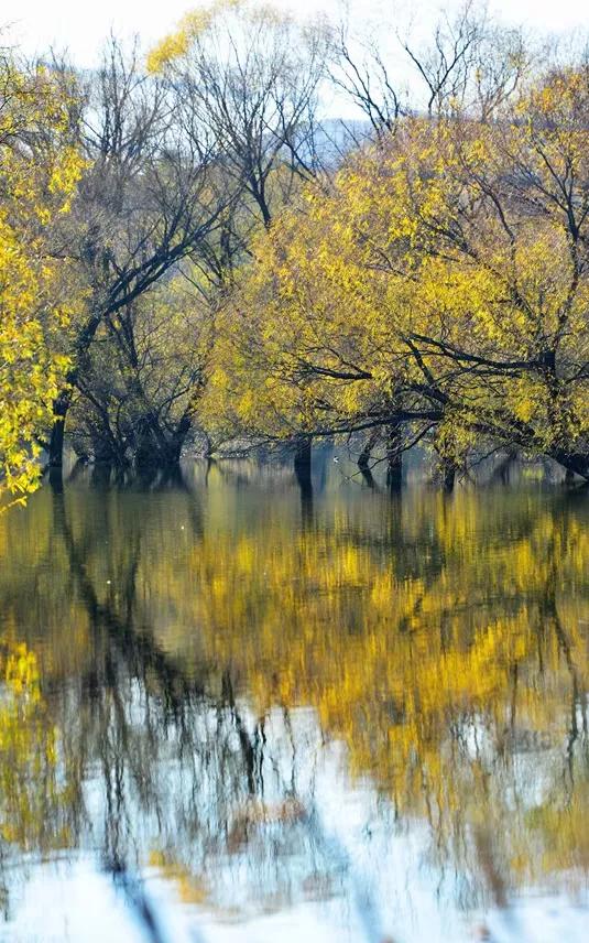 袁新錄｜人間仙境莊上許亭