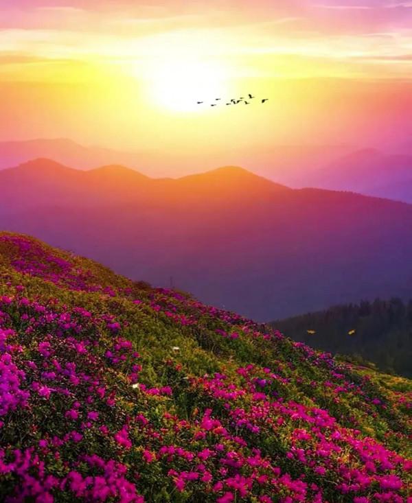 二十句驚為天人的詩詞，太美了，每一次讀都有不一樣的人生感悟