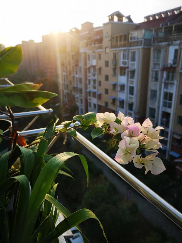 十月再見，十一月您好