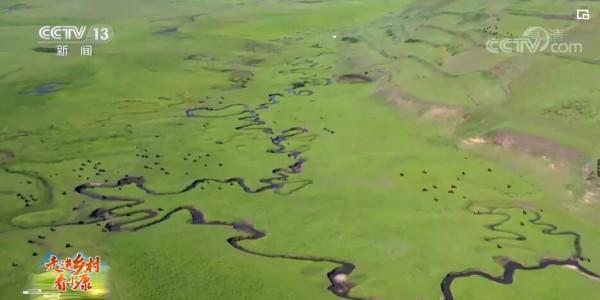 走進鄉村看小康 | 甘肅岷縣：草原風光迷人 牛羊膘肥體壯