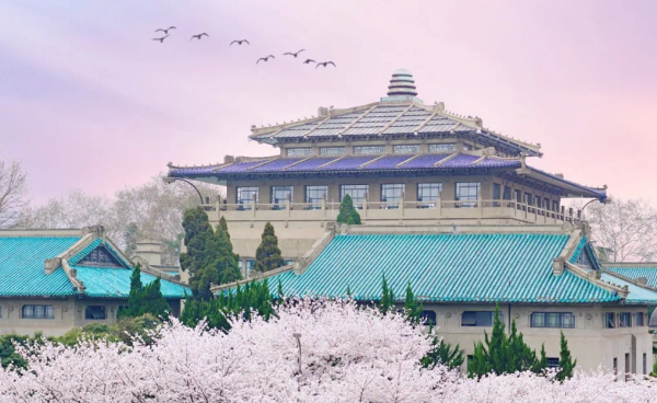 保2爭3？10年沉澱，武漢大學有望迎來院士增選大爆發？