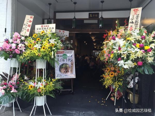 親戚朋友新店開業，應該送上什麼花以表心意，這些植物最適合