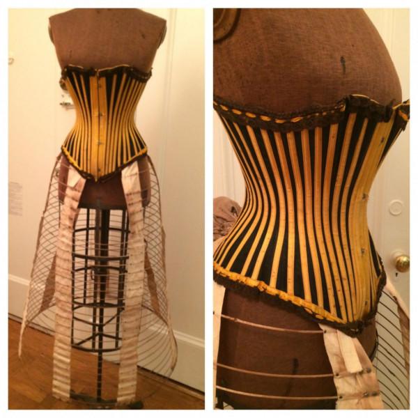 又是角蛋白,人類明明自己有,為什麼對動物的角蛋白念念不忘? 又是角蛋白,人類明明自己有,為什麼對動物的角蛋白念念不忘?