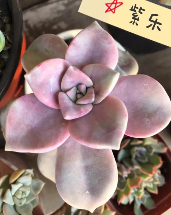 看人間煙火 看人間煙火