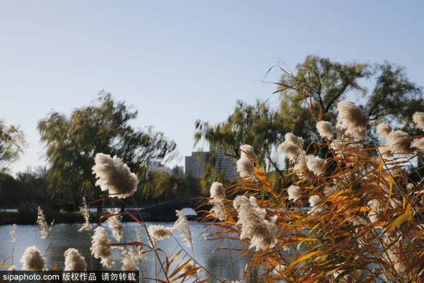 北京離“銀河”最近的地方!人少景美,就在三環邊上! 北京離“銀河”最近的地方!人少景美,就在三環邊上!