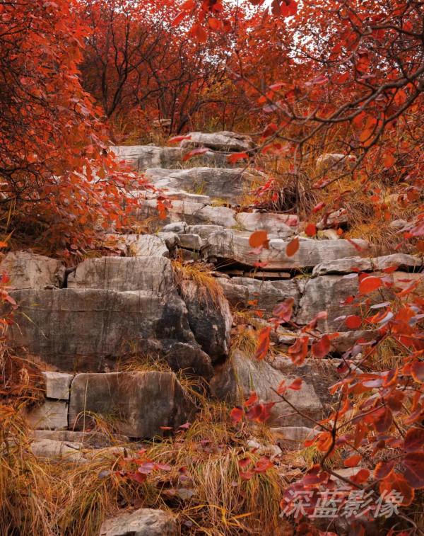 石門坊最美紅葉 石門坊最美紅葉