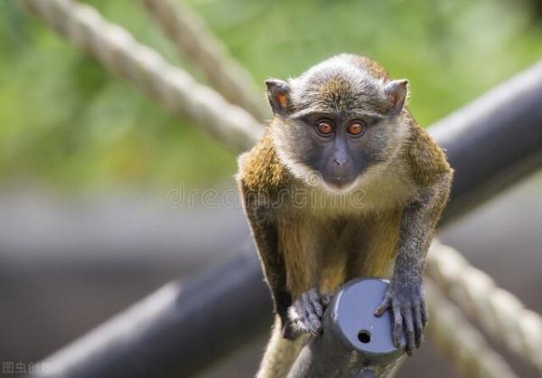 詭扯女星長臉想整容卻被醫院勸退 若演女鬼才吸粉呢 的確要容貌自信 詭扯女星長臉想整容卻被醫院勸退 若演女鬼才吸粉呢 的確要容貌自信