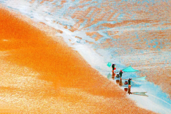 2021年國內旅行時間表出爐！承包你一整年的旅行